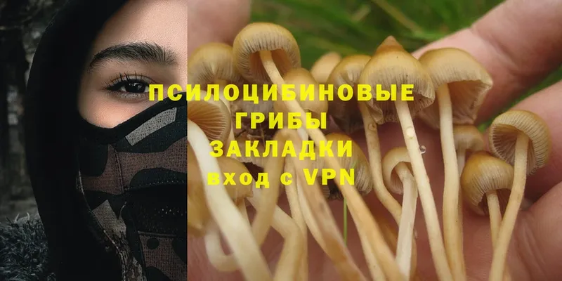 Псилоцибиновые грибы Magic Shrooms  mega зеркало  Слюдянка 